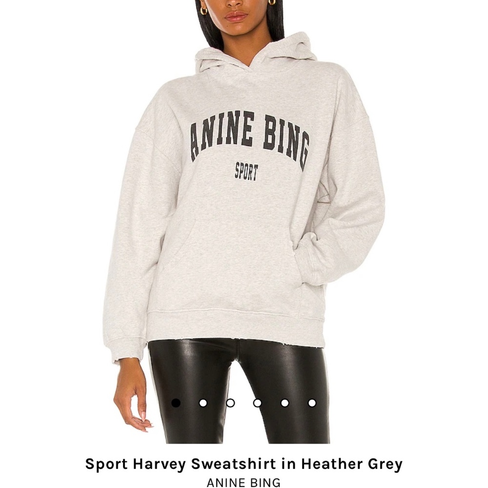 Anine Bing Sport Harvey Hoodie